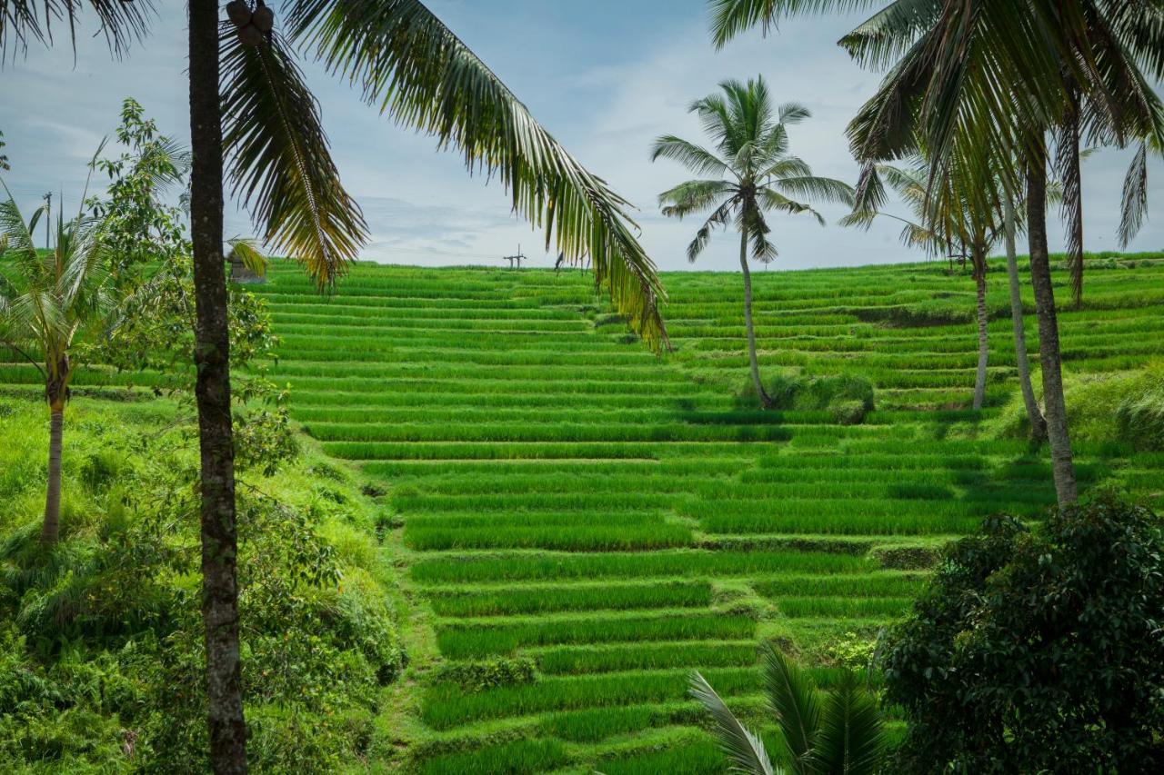 Be Bali Pousada *